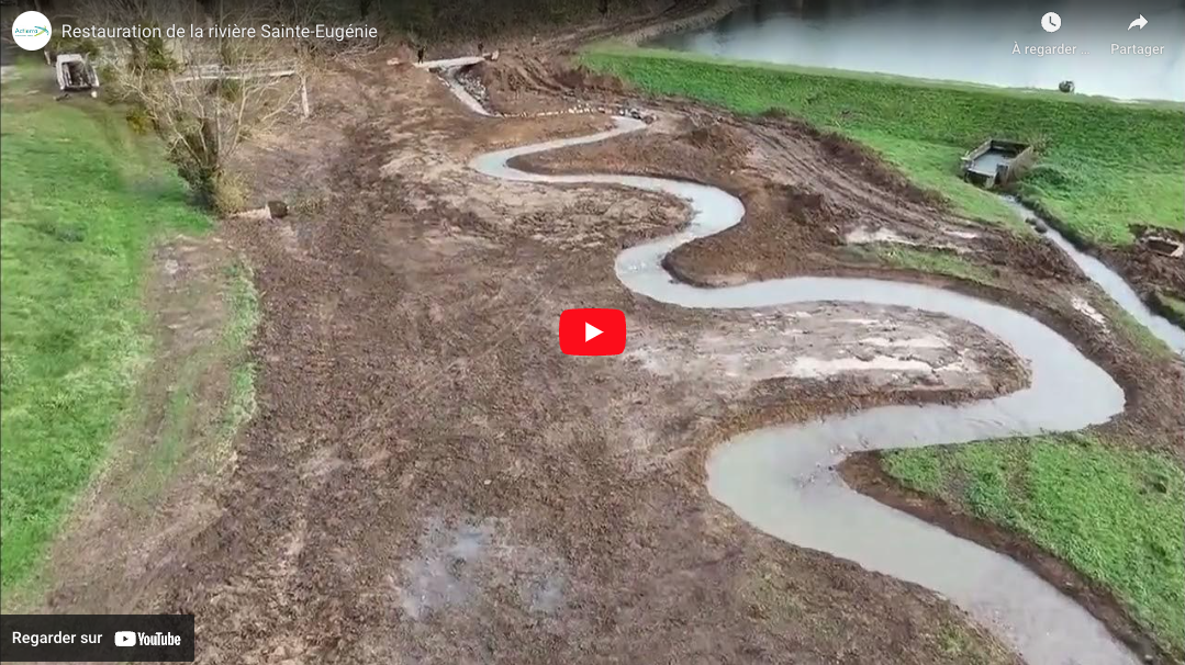 Restauration de la rivière Sainte-Eugénie